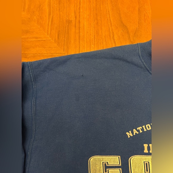 Vintage 2001 Indianapolis Colts Lee Sport Crewneck - Picture 4 of 8